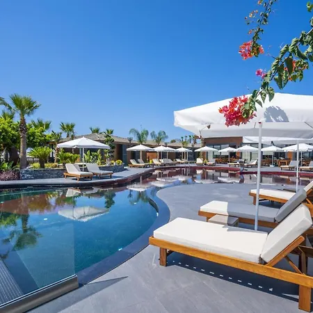 Porto Club (adults Only)